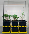 Open-Source Indoor Horizontal Grow Structure Designs
