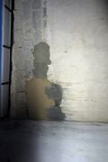 Test plaster swatches after completion and use of the goma 30 minutes later.