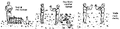 Thumbnail for version as of 01:24, 6 January 2007