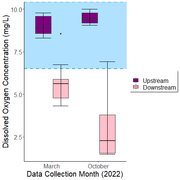 Figure 1-5: Box and whisker plot displaying upstream and downstream dissolved oxygen concentrations for March and October of 2022 in units of mg/L. The bottom and top of the box delineate the 25th and 75th percentiles, respectively, with the line across the box representing the median. The minimum and maximum are delineated by the bottom and top whiskers, respectively. Outliers are shown as individual data points. The healthy range of DO for adult salmonids, concentrations greater than 6.5 mg/L, is shown via the blue rectangle (EPA 1986).