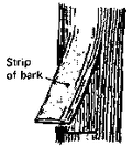 Thumbnail for version as of 01:27, 6 January 2007