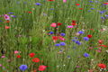 Thumbnail for version as of 21:42, 8 April 2016