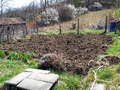 Thumbnail for version as of 11:16, 26 January 2016