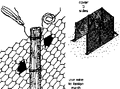 Thumbnail for version as of 01:24, 6 January 2007