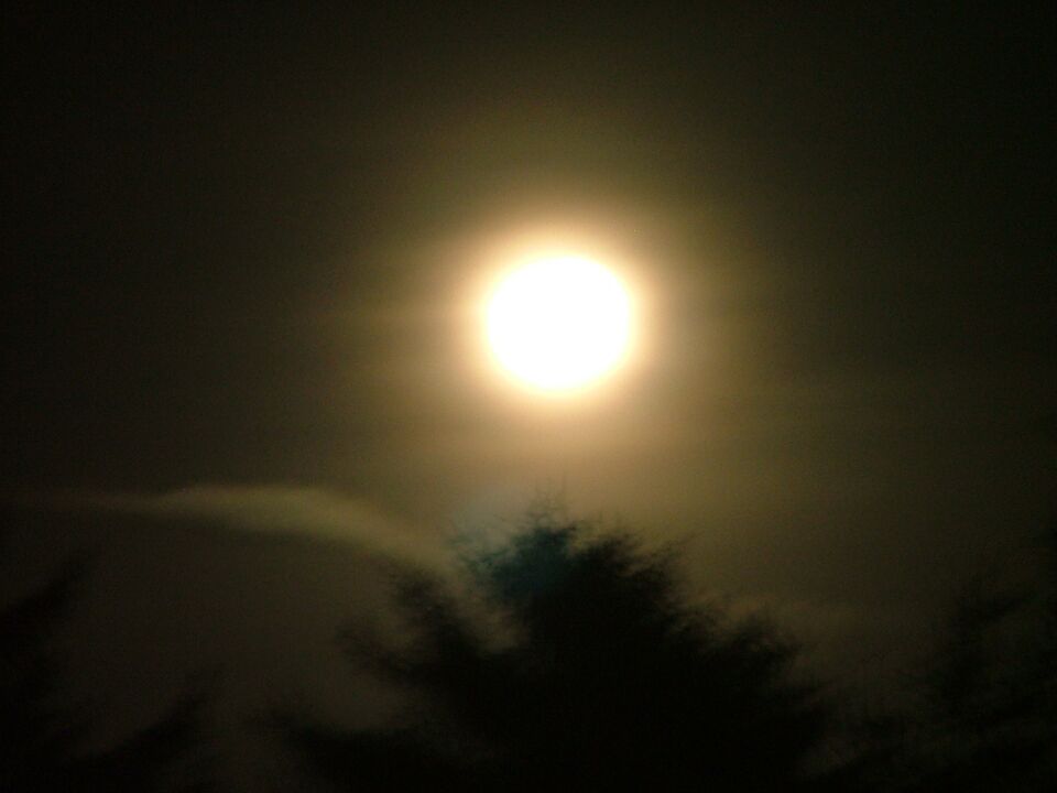 File:Mymoonface.JPG