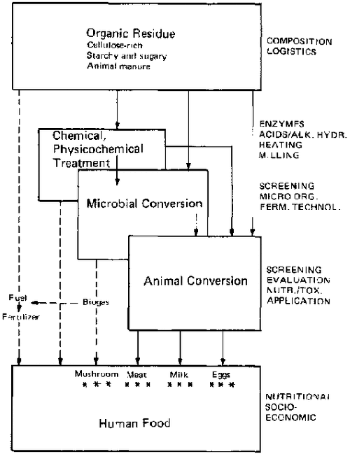 File:80434E0W.GIF
