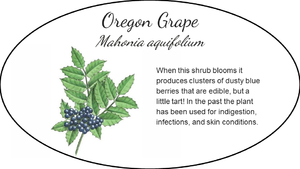 Oregon Grape sample sign.PNG