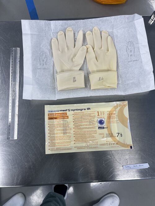 File:Sterile gloves 2.jpg