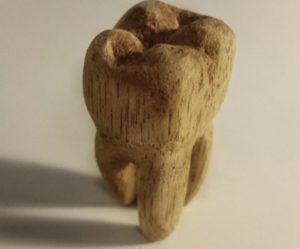 Wooden tooth.png