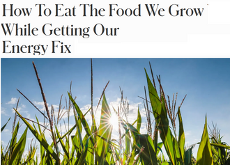 How To Eat The Food We Grow While Getting Our Energy Fix