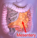 Thumbnail for version as of 20:18, 23 March 2026