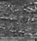 Fig1. Anodized Ti64 medical implant surface.jpg