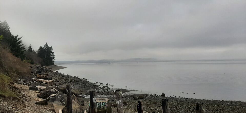 File:20220329 100559.jpg