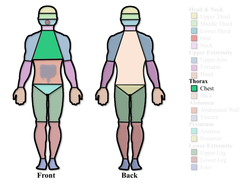 File:Chest Region.png