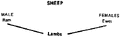 Thumbnail for version as of 01:24, 6 January 2007