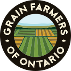 File:GFO logo.svg