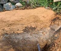 Image 5: Fun Snake head detail added to the berm to make the whole berm a clay snake.