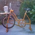 The Mechanical Munchy-Maker A mechanical bicycle that generates energy to power a kitchen appliance