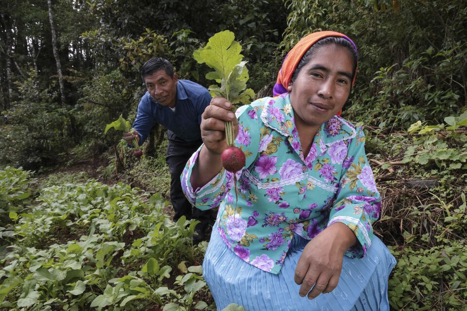File:Vinculación de mercados1.jpg
