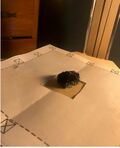 Print Bed Slip Error