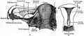 Thumbnail for version as of 14:42, 18 March 2026