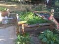 Fig 3b: Humboldt State CCAT Raised Beds #1 and #2 Alternative Angle