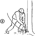 Thumbnail for version as of 01:26, 6 January 2007