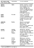 Thumbnail for version as of 01:26, 6 January 2007