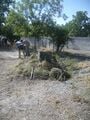 Fig 3: During our clearing process we made separate piles of the organic mater and trash. At this point we are not sure what the home owners are going to do with these piles but we will suggest that the organic mater be composted.