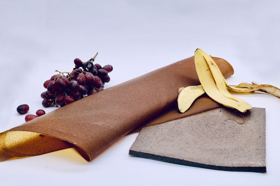 File:Bioformadora2.jpg