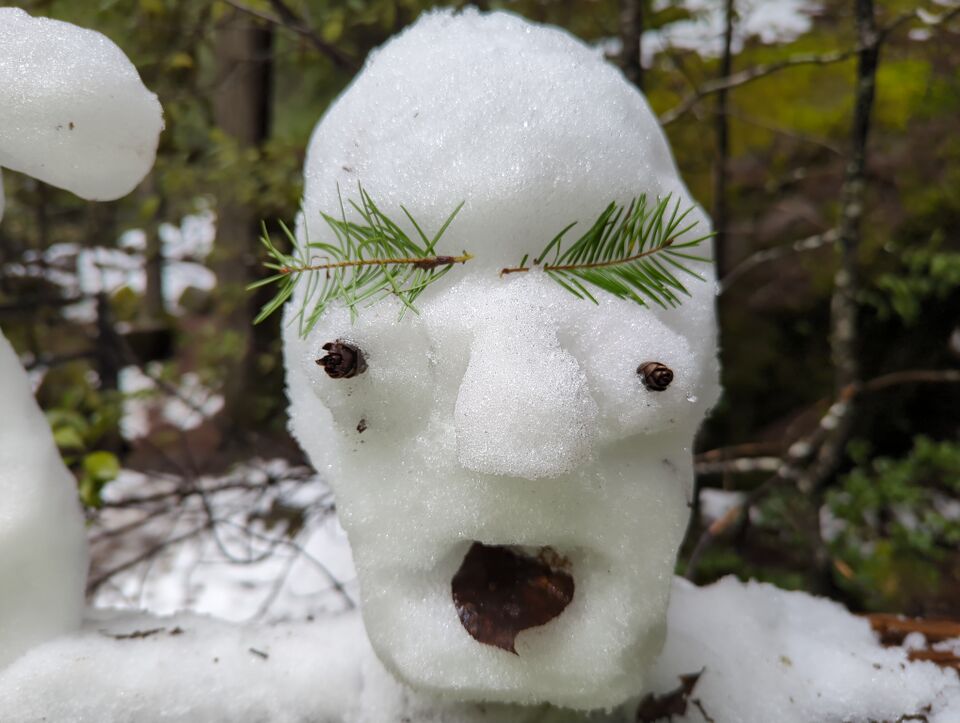 File:Snow pic.jpg