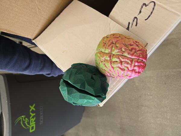 File:Two Interdisciplinary 3D brains.jpg