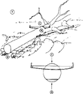 Thumbnail for version as of 01:26, 6 January 2007