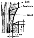 Thumbnail for version as of 01:27, 6 January 2007