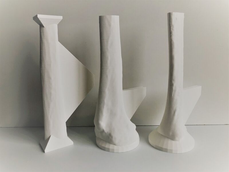 File:3D Printed Adult Female Tibial Bone Models.jpg