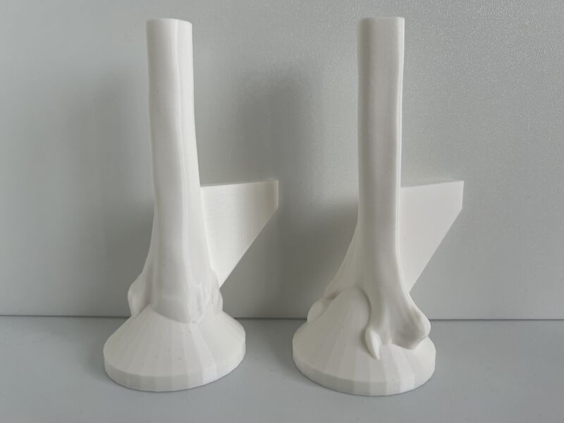 File:3D Printed Adult Male Humeral Bone Models v3.0.jpg