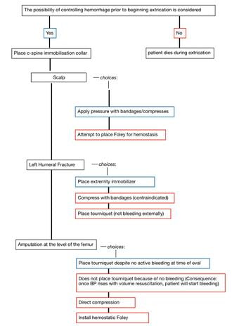 link=https://www.appropedia.org/File:Fluxogram - Case 1.jpg