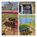 Running agrivoltaic experiments under semi-transparent modules - Summer 2025