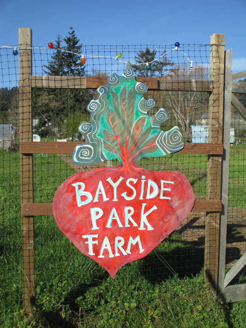 File:Bayside Park Farm.JPG