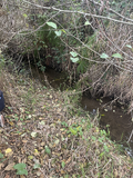 Figure 3-3: Photo of Upstream Janes Creek.