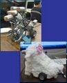 Thumbnail for version as of 04:06, 24 August 2012