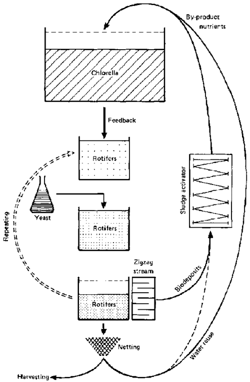 File:80362E0C.GIF