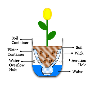 Illustration-pop-bottle-sub-irrigated planter.png