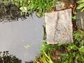 Small piece of metal mesh material in pond