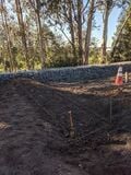 Established level for grading