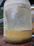 Fig. 6a: Jar 1 after test completed. Sharpe pen marks where each settled soil level is.