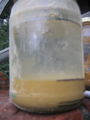 Fig. 6a: Jar 1 after test completed. Sharpe pen marks where each settled soil level is.