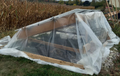 Thumbnail for version as of 11:39, 1 October 2026