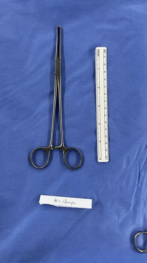 File:Allis forceps 2.jpg