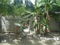 The gardens fed by the grey and black water are in front of the earthship archway.